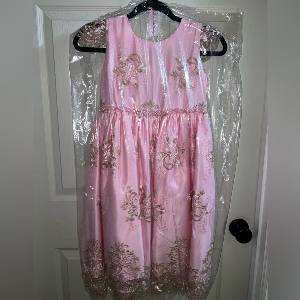 Kids pink and gold dress. NWT